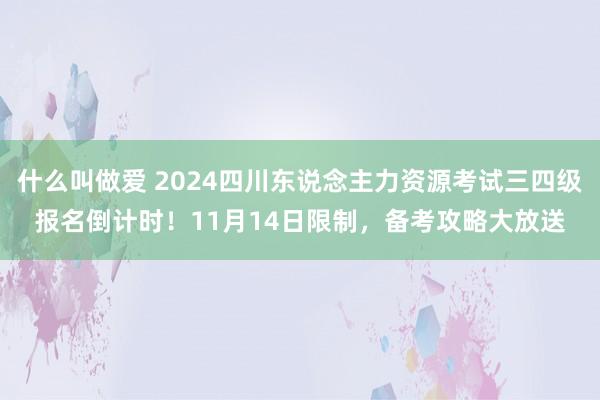 什么叫做爱 2024四川东说念主力资源考试三四级报名倒计时！11月14日限制，备考攻略大放送