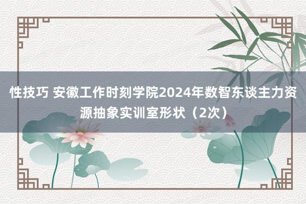 性技巧 安徽工作时刻学院2024年数智东谈主力资源抽象实训室形状（2次）