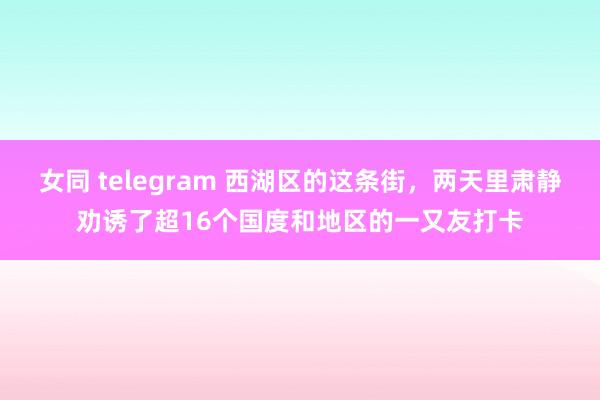 女同 telegram 西湖区的这条街，两天里肃静劝诱了超16个国度和地区的一又友打卡