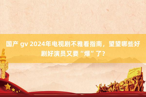 国产 gv 2024年电视剧不雅看指南，望望哪些好剧好演员又要“爆”了？